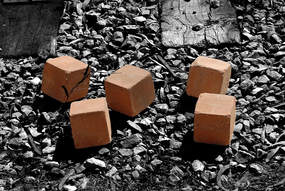 בועז וולסוביץ