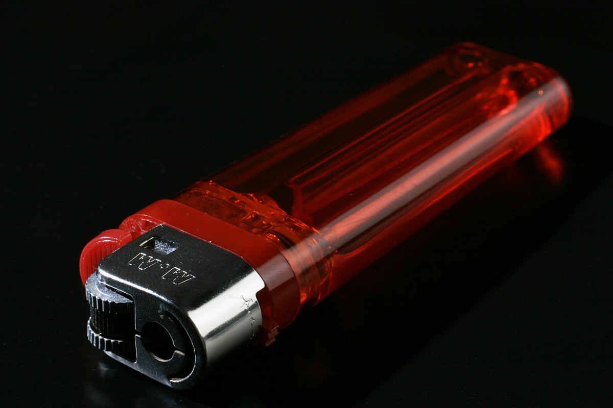 צילום: דניאל גלזר