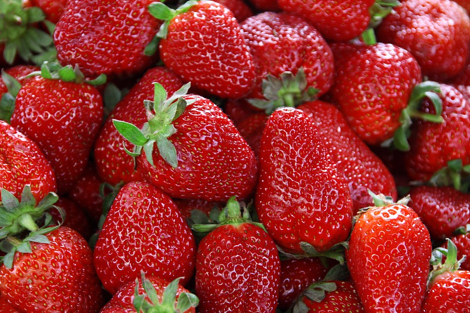 אביבה  דמרמרי