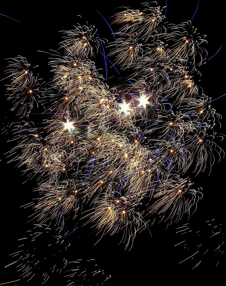 נאוה פמיליה