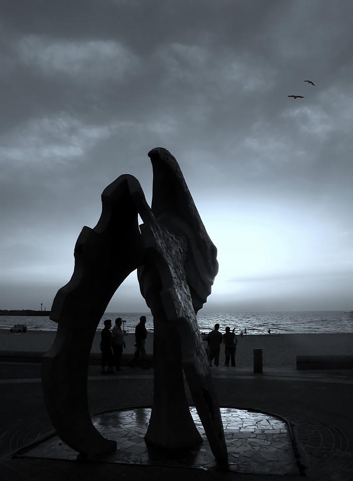 נאוה פמיליה