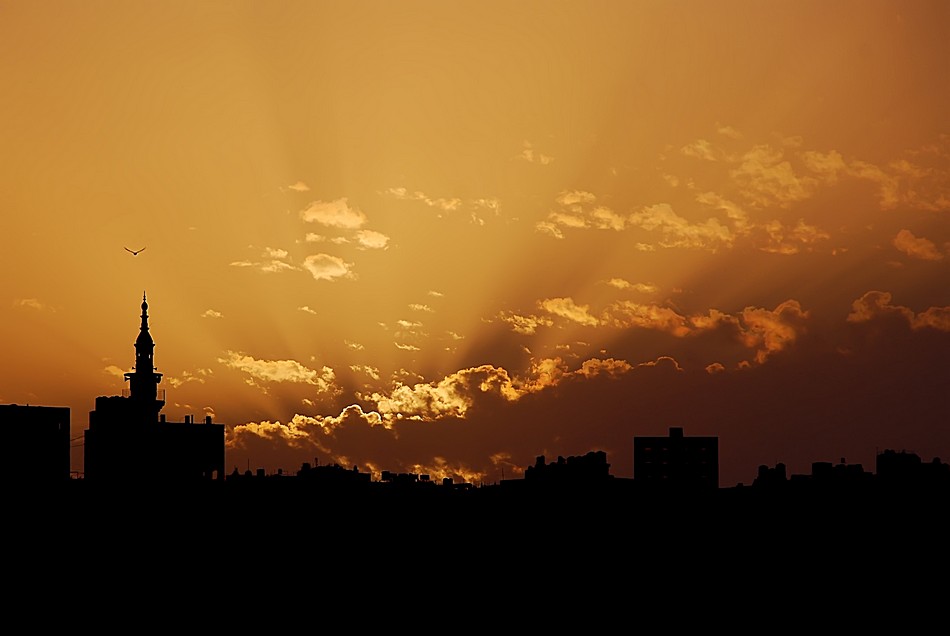 ברק   ניסימי