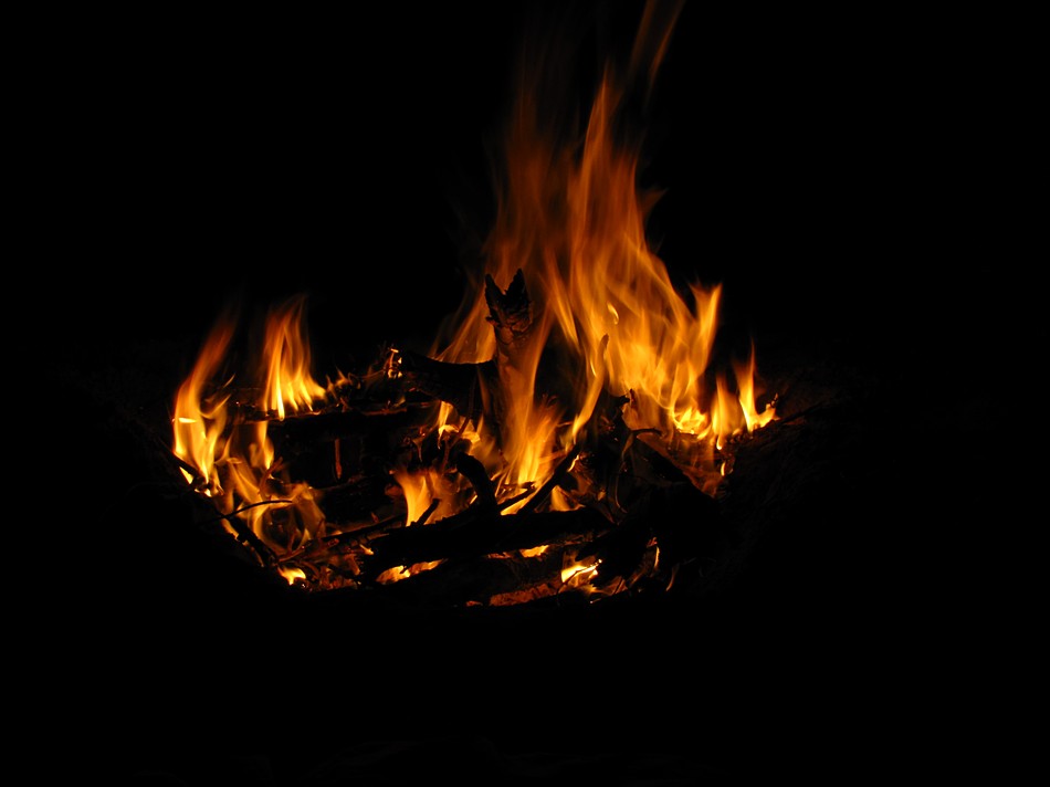 סרגיי ניקולאייביץ