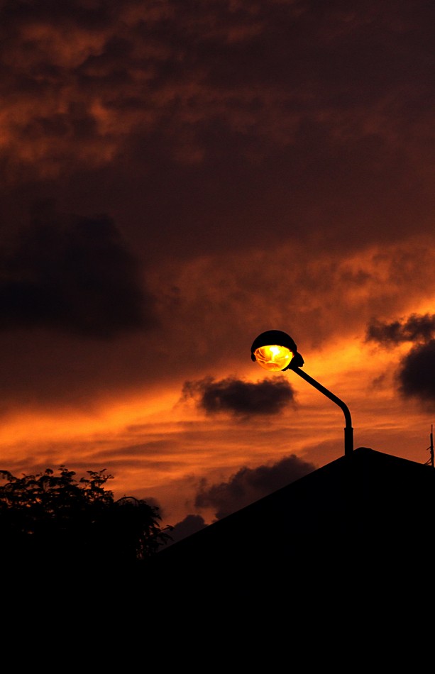 צילום: מיכל דה פורטו