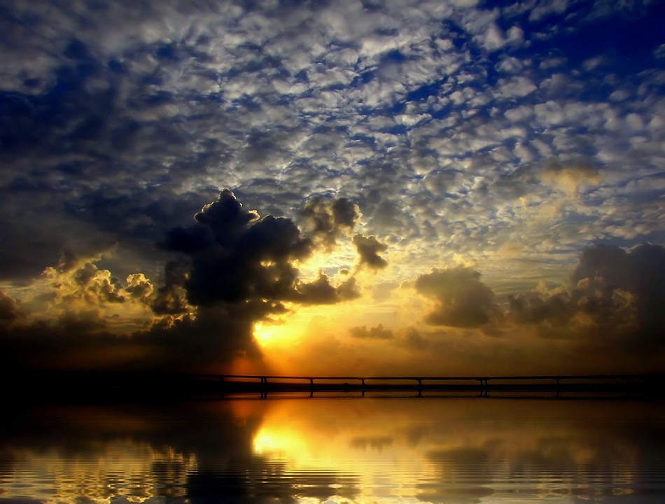 נאוה פמיליה