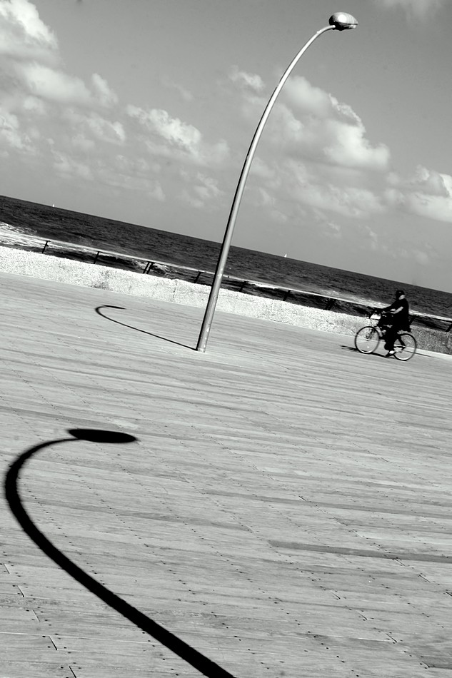 זאב מנדלוביץ