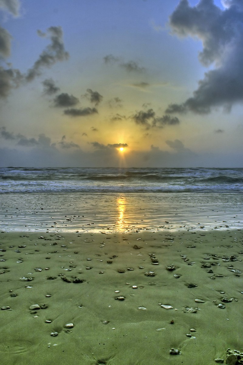 אורן גרינפלד