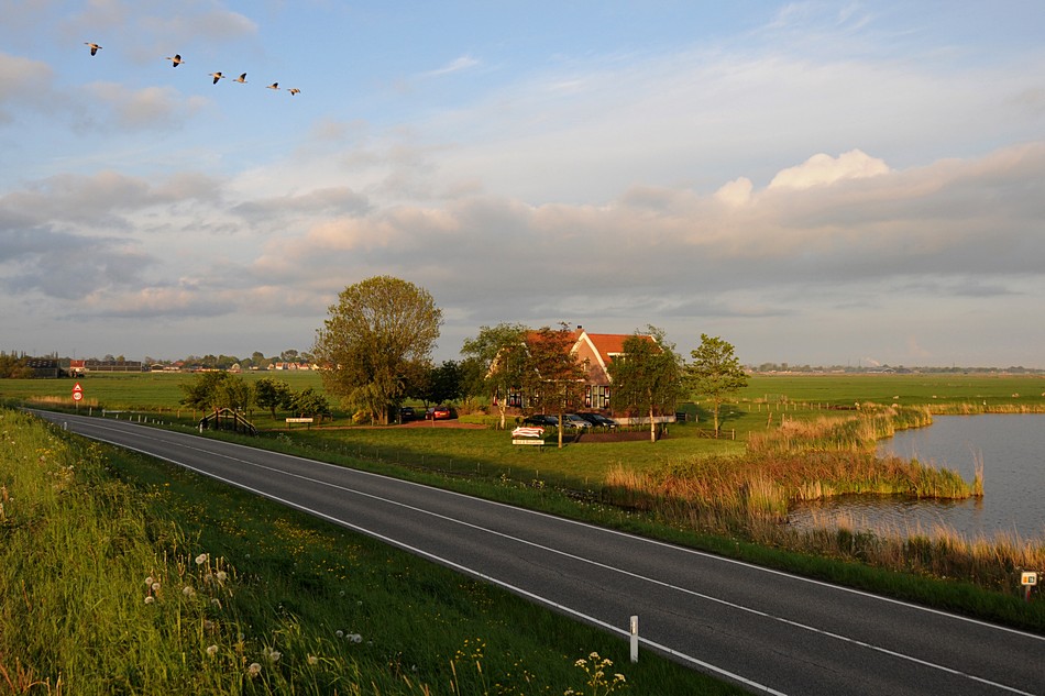 אריה אפלבאום