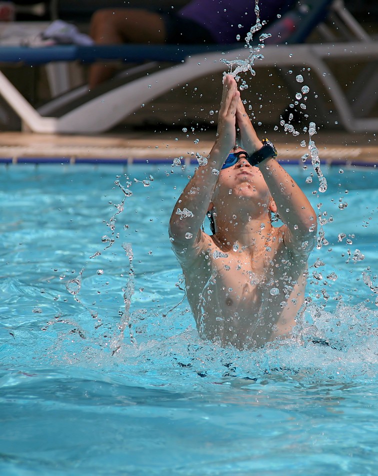 זאב מנדלוביץ