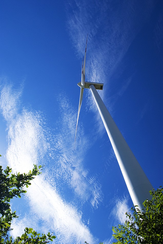 מיכאל דורון