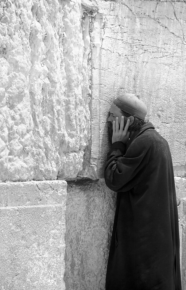 זאב מנדלוביץ