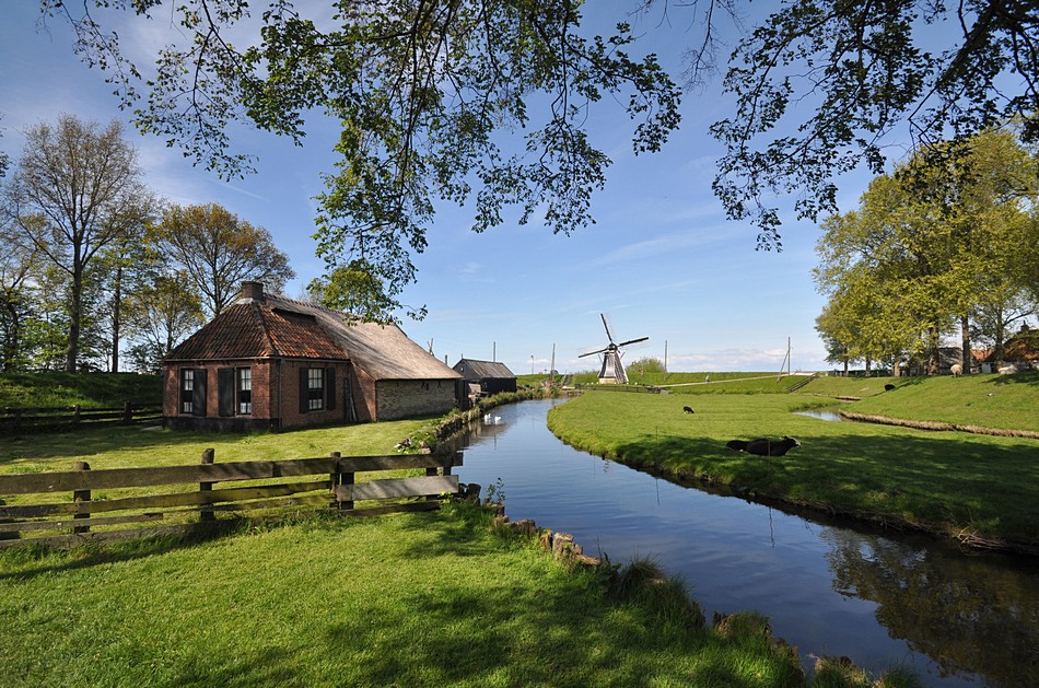 אריה אפלבאום