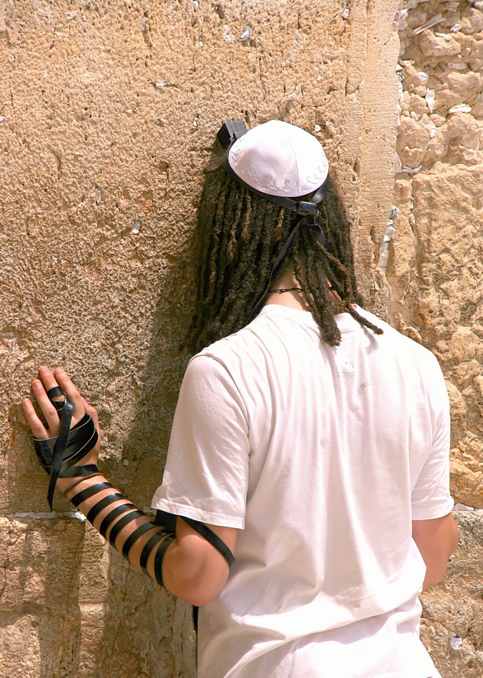 זאב מנדלוביץ