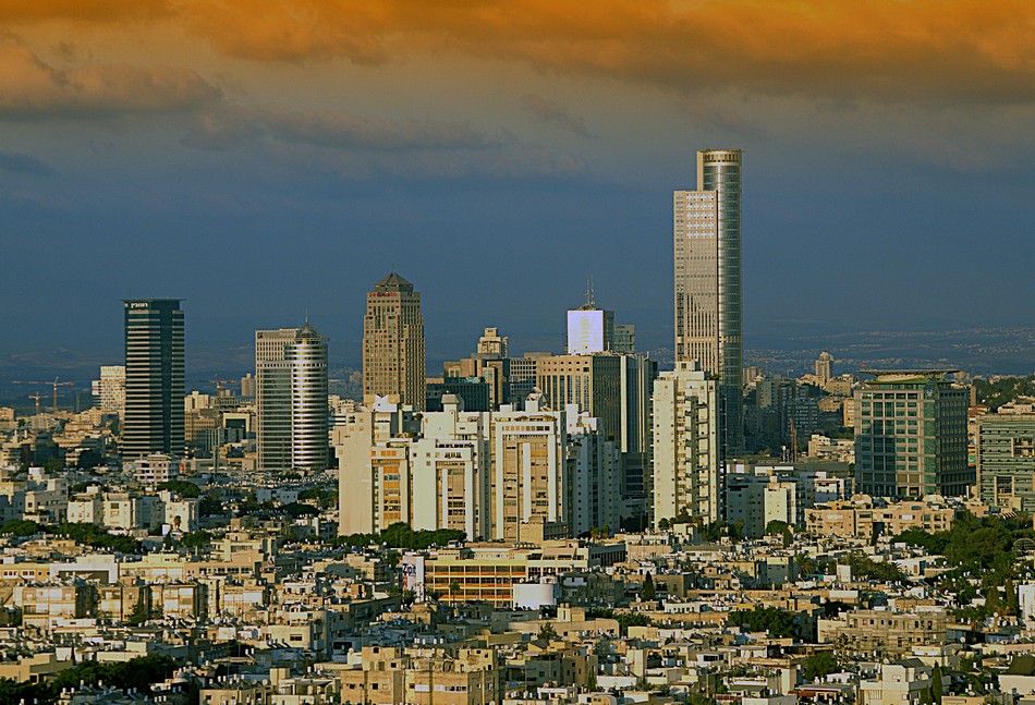 פיני  אביבי