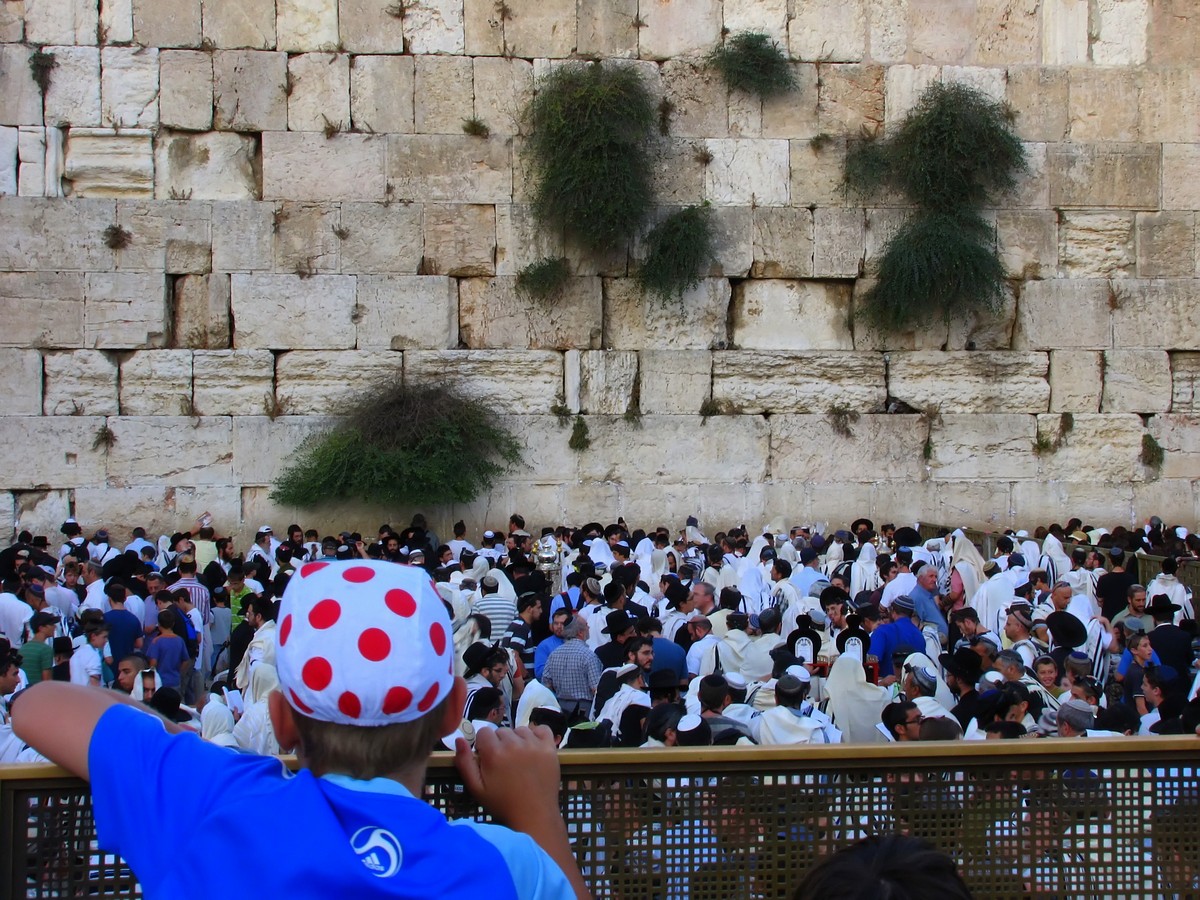 נאוה פמיליה