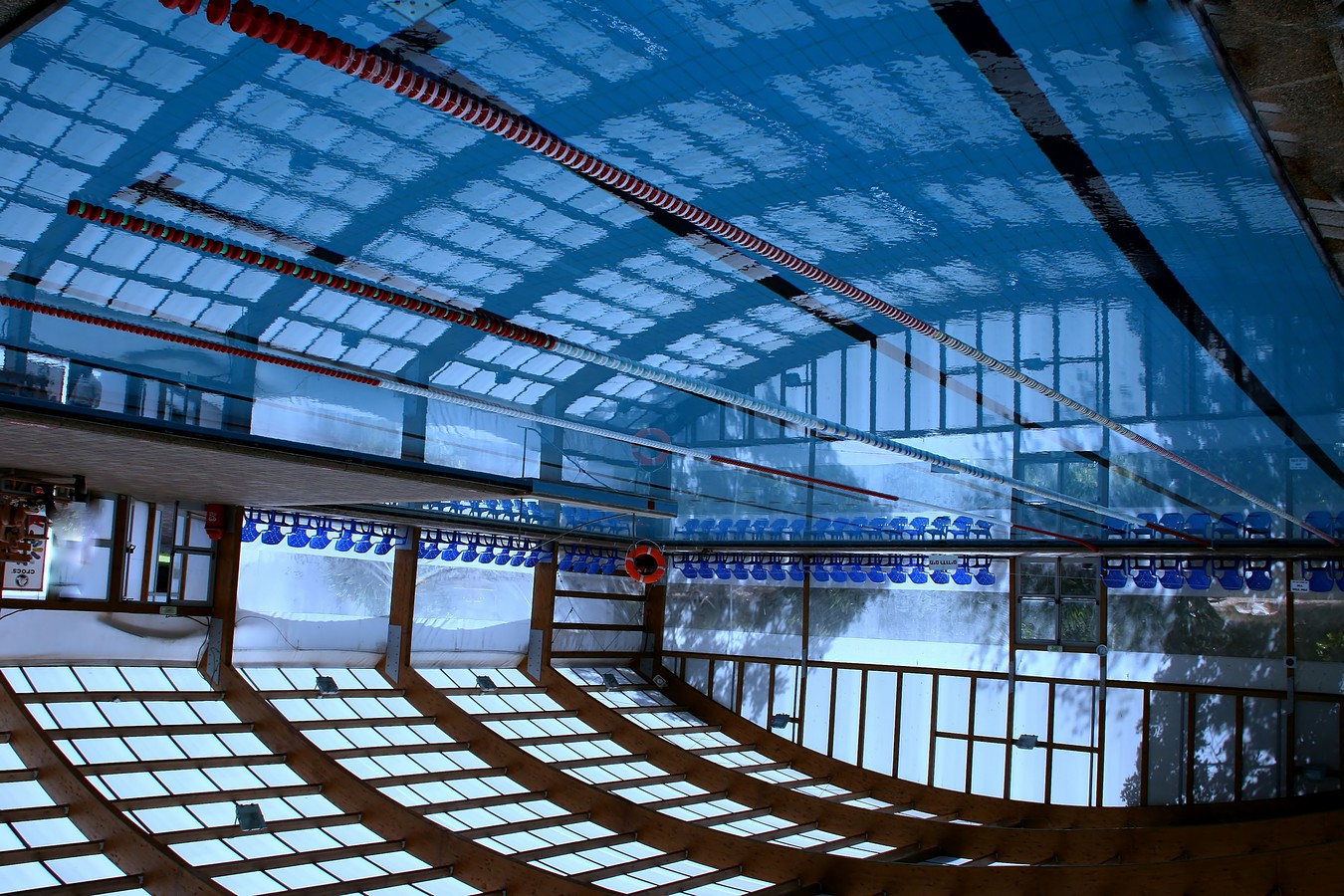 זאב מנדלוביץ