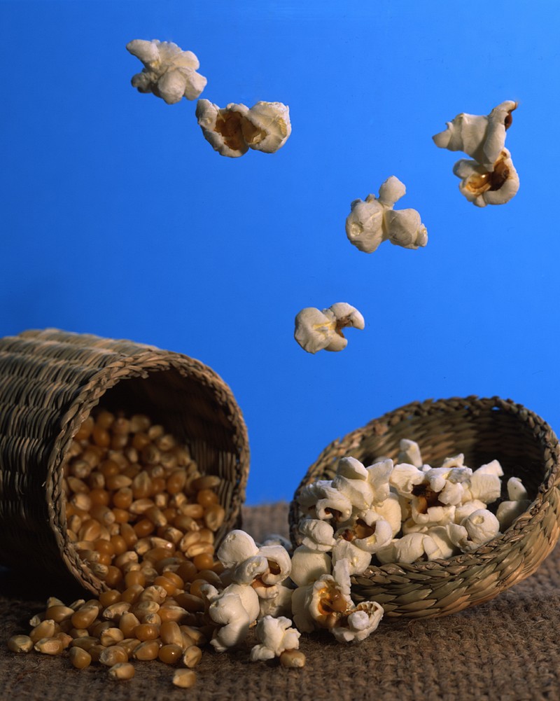 ויקי צוקנוב