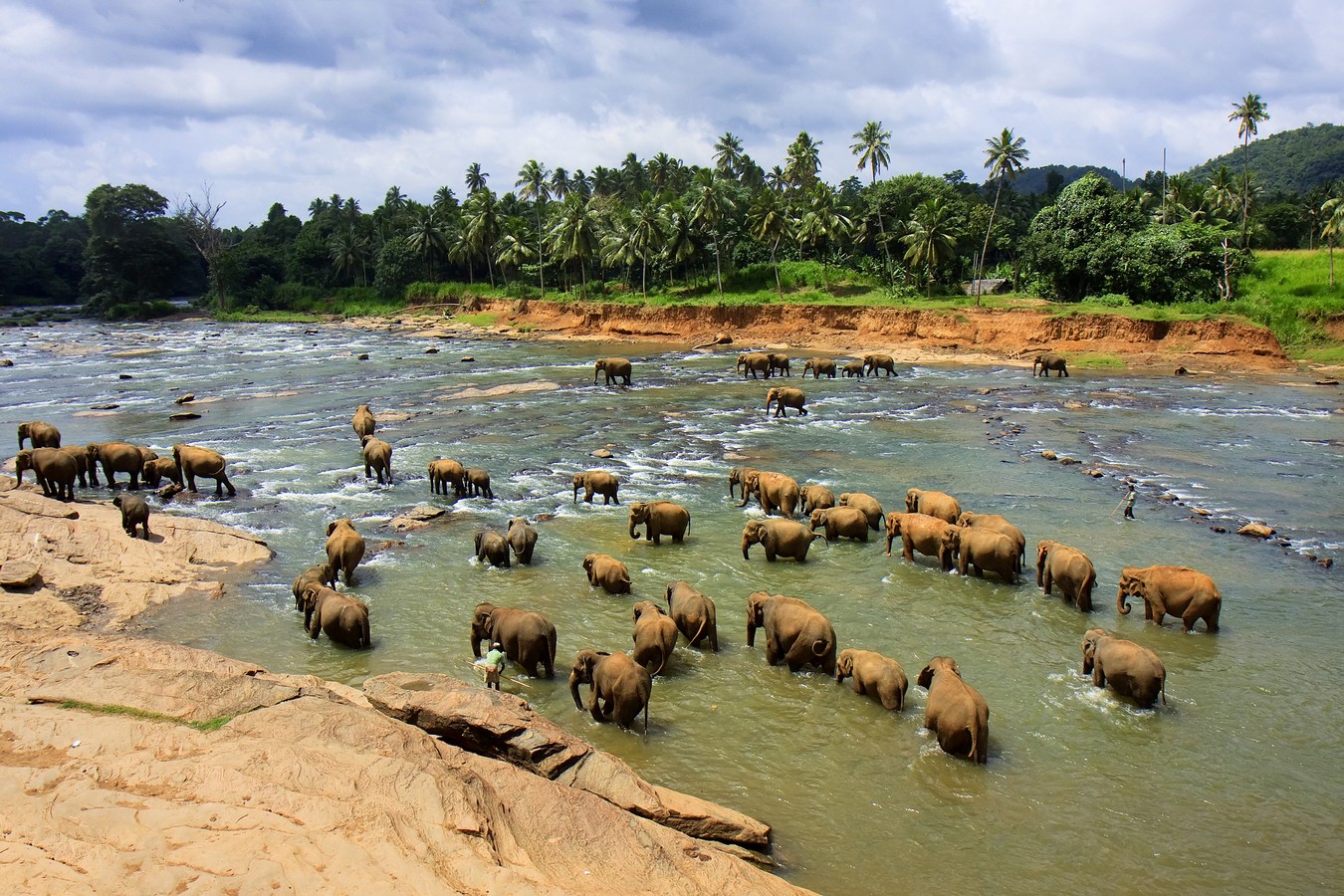 אמנון אייכלברג