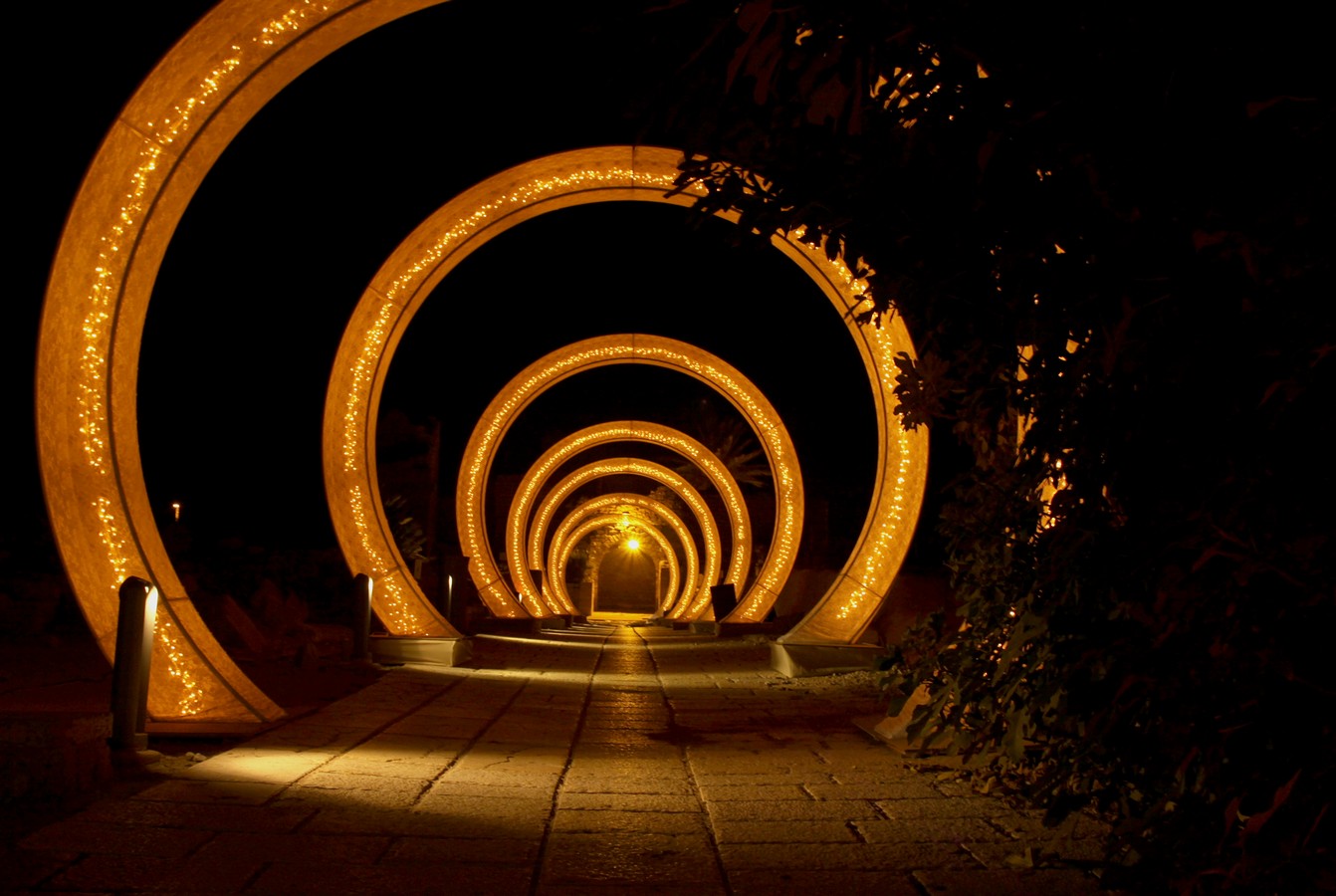 מיכל דה פורטו