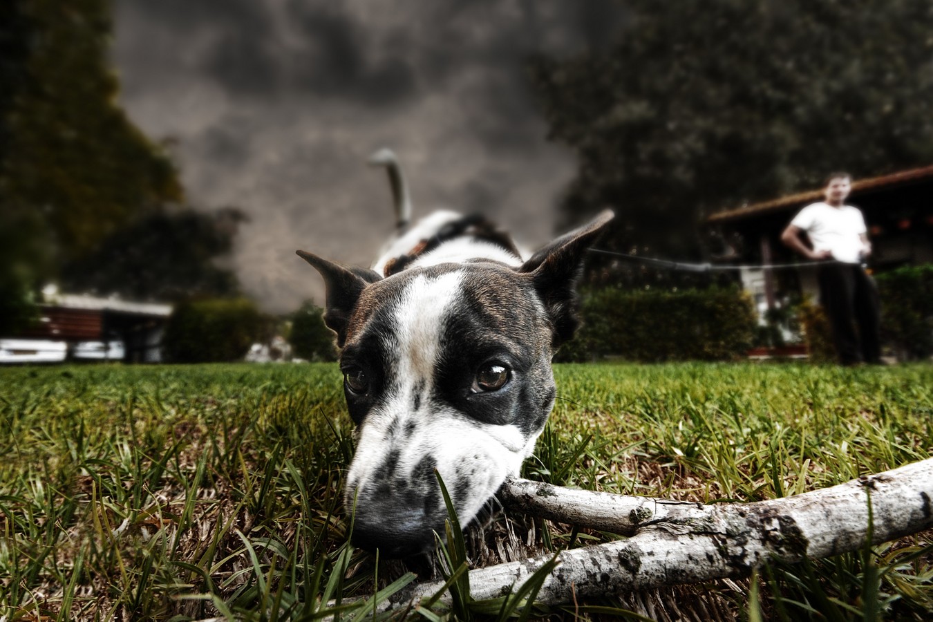 יגאל  אזולאי