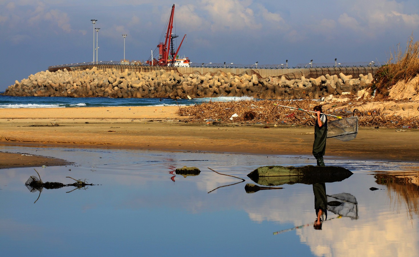 מיכל דה פורטו