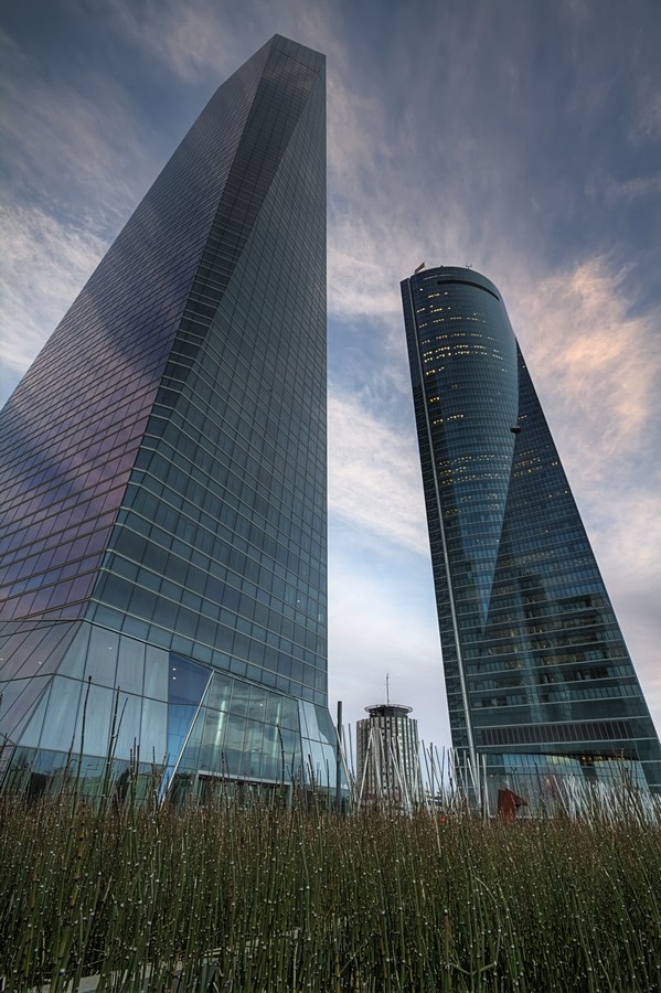 אמנון אייכלברג