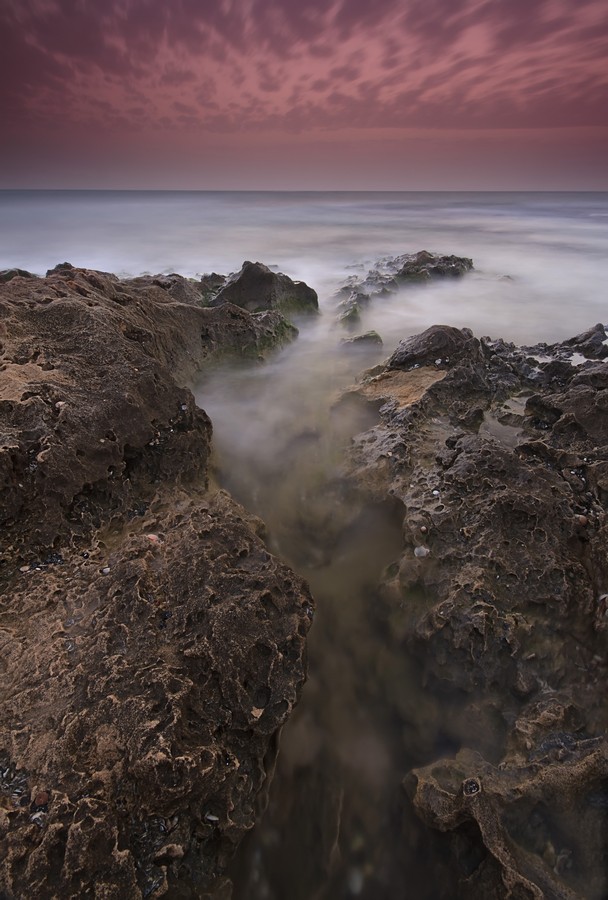 אמנון אייכלברג