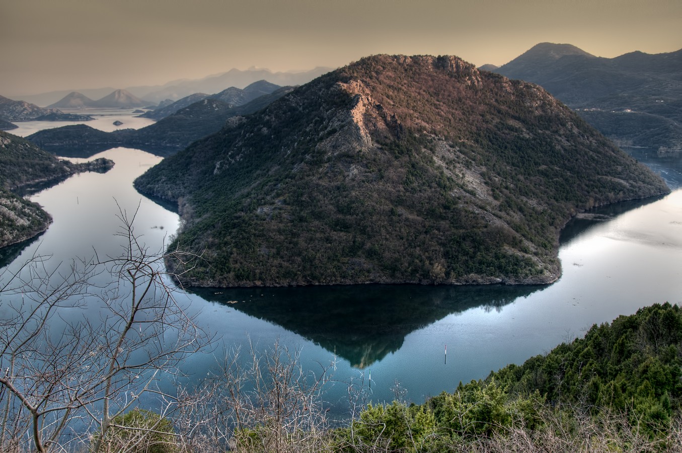פיני  אביבי