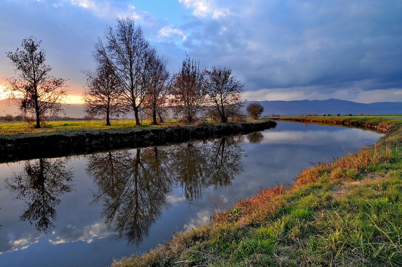 ‫שלום ניסימי‬‎