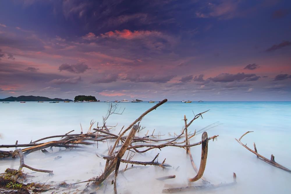 אמנון אייכלברג