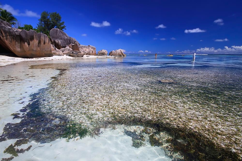 אמנון אייכלברג