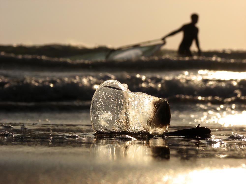 דניאל דנילוב