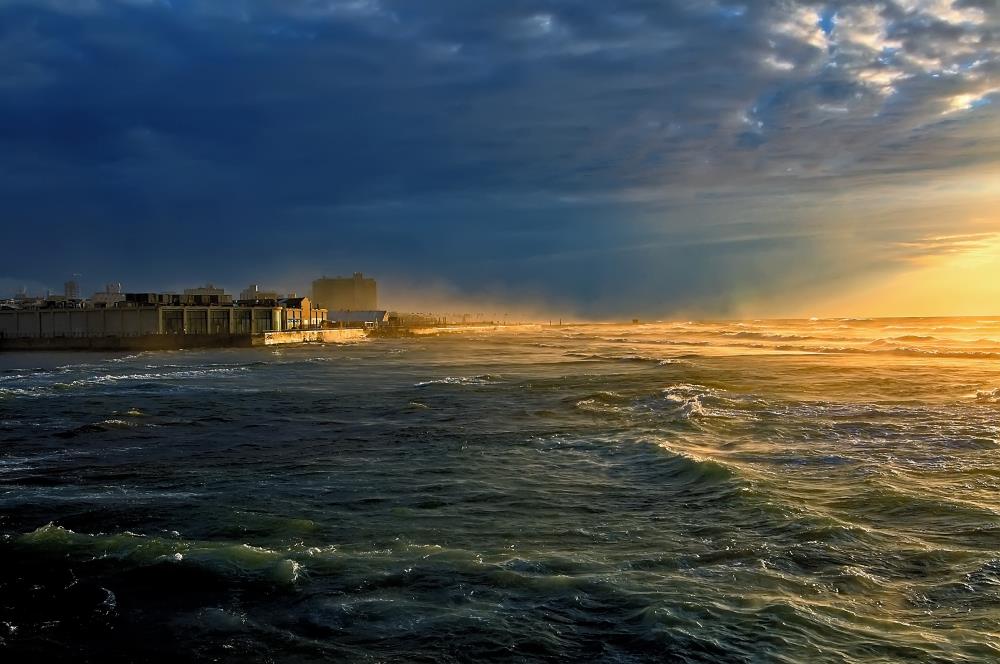 ‫שלום ניסימי‬‎