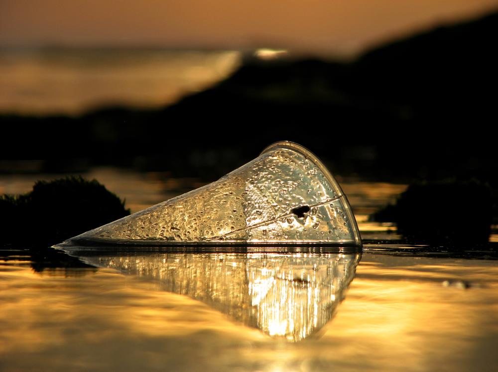 דניאל דנילוב