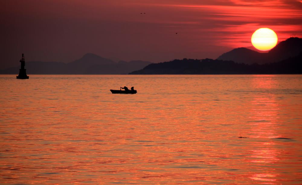 זאב מנדלוביץ