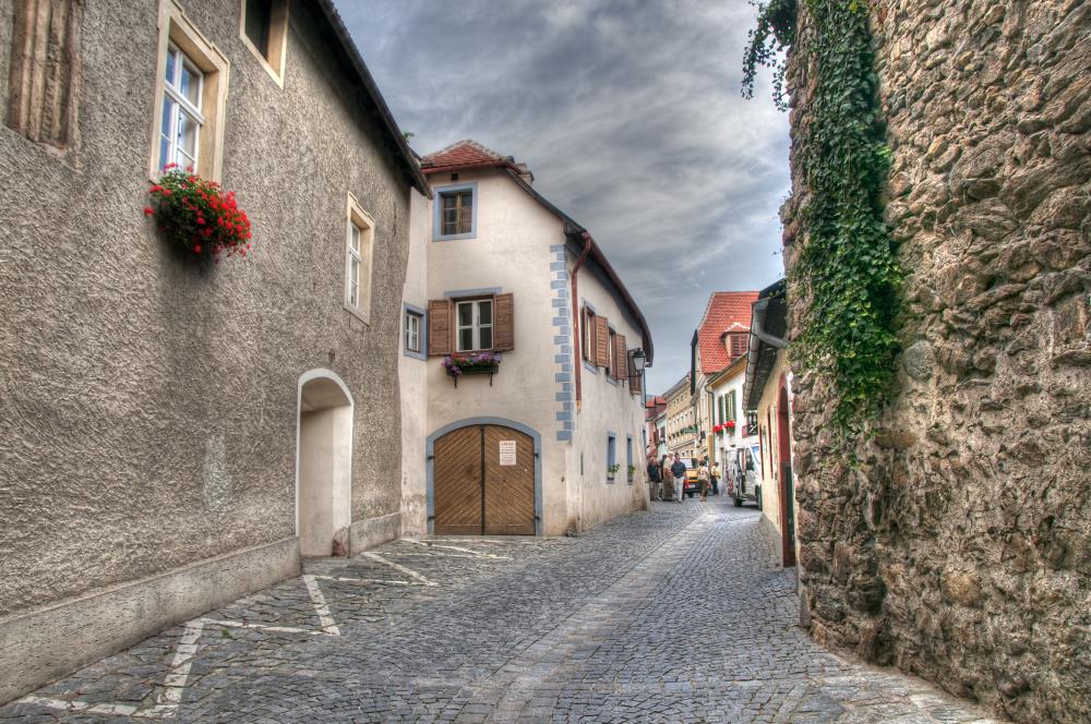 פיני  אביבי