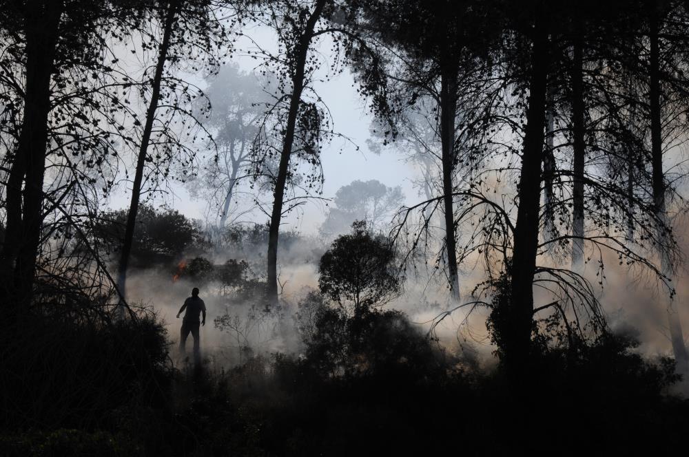 שגב בן יוסף