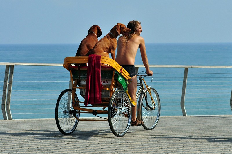 צילום: אריה טרכטנברג