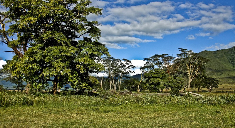 בתוך מכתש נגורונגורו