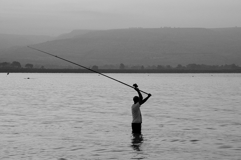 מצליף בדגים