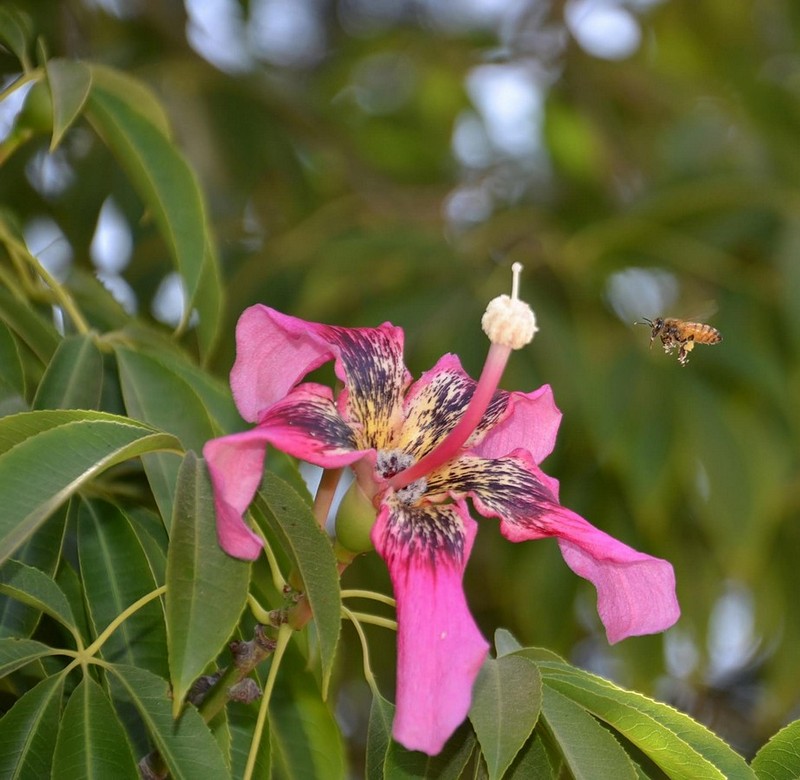 צילום: הלנה מגר טלמור