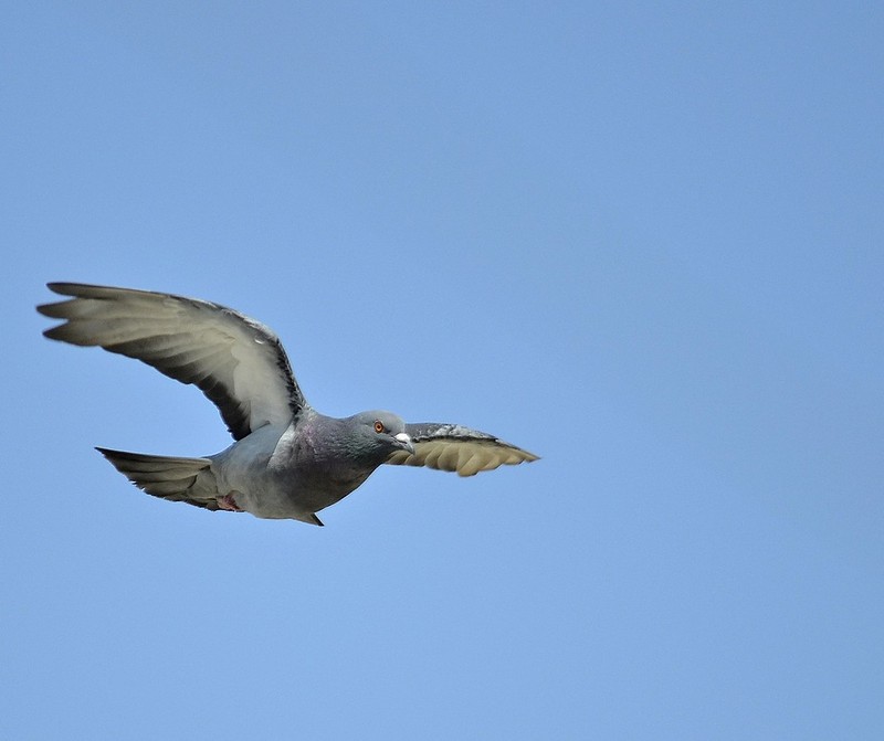 צילום: הלנה מגר טלמור