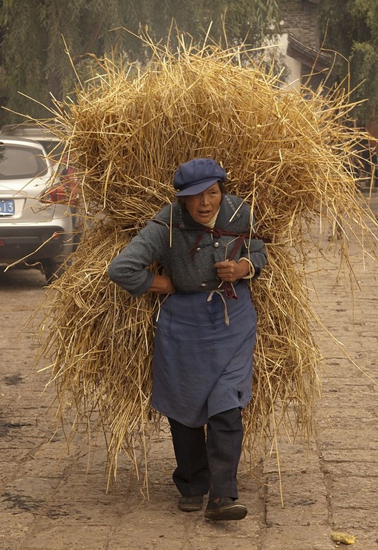 קורסת תחת העול