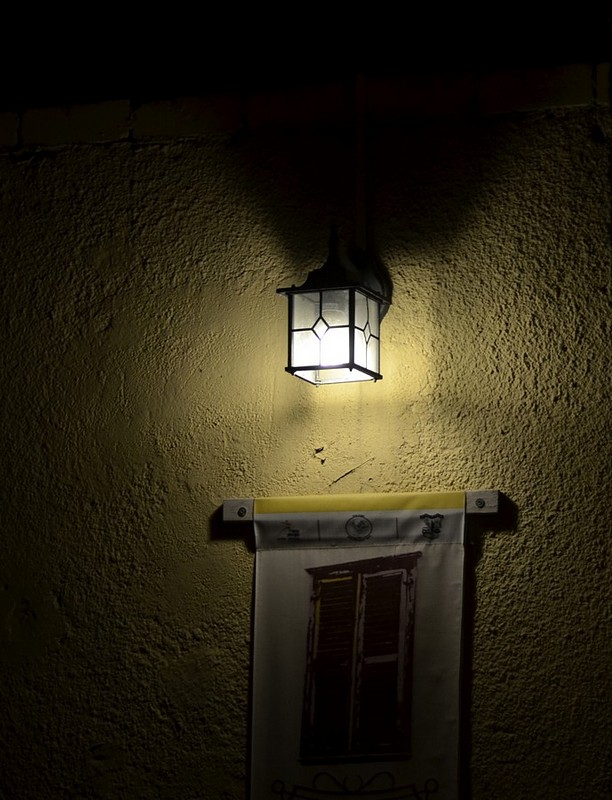 צילום: הלנה מגר טלמור