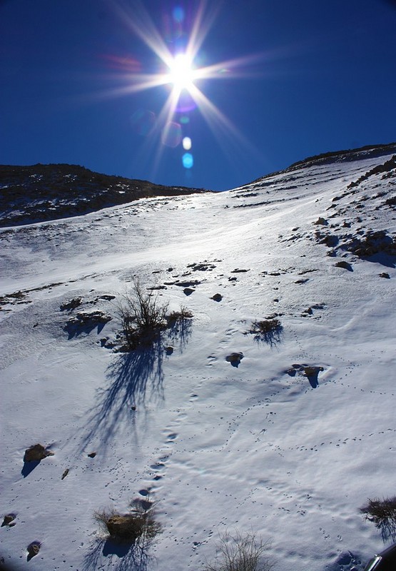 כוכב באור יום
