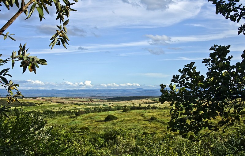 מבט אל שמורת מניארה