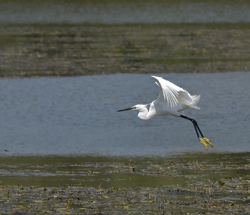 צילום: הלנה מגר טלמור