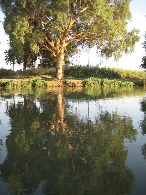 צילום: אמונה יוסף