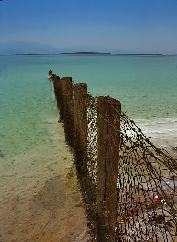 צילום: דפנה רחמני