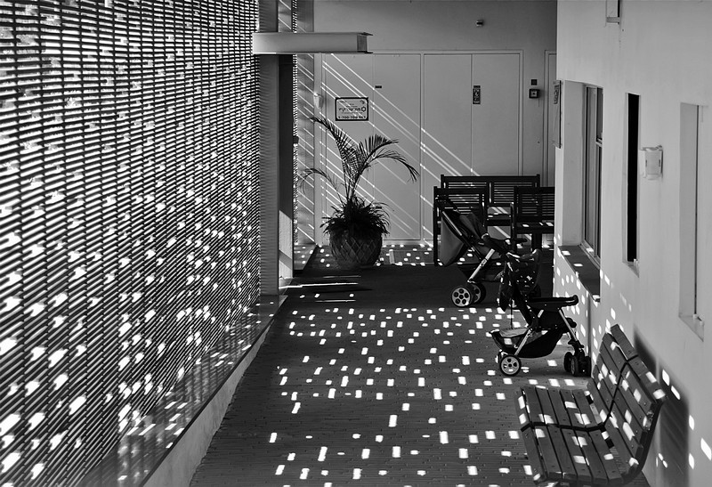 אורות וצללים בש.ל.